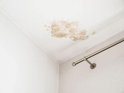 About West Falls Church Black Mold Removal - black mold removal experts in West Falls Church